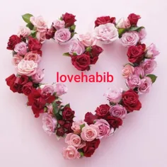 lovehabib 38369391
