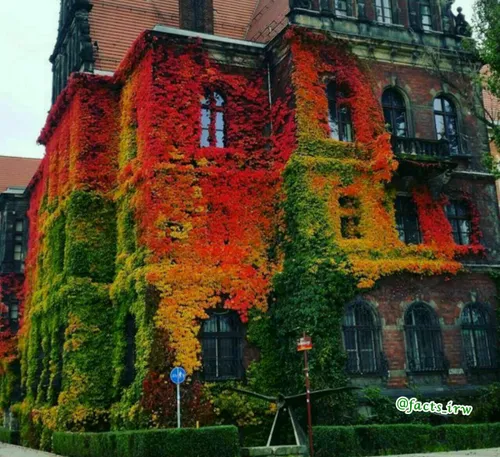 این عکس شگفت انگیز رنگ های پرجنب و جوش پاییزی و معماری زی
