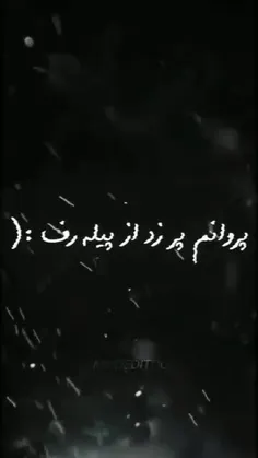 پروانم پر زد از پیله رفت:(