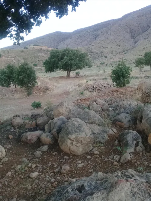 کوه دراک شیراز . همین الان