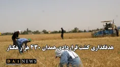هدفگذاری کشت قراردادی در استان همدان؛ ۴۳۰ هزار هکتار