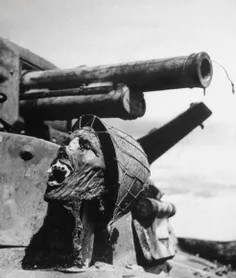 سر قطع شده سرباز ژاپنی روی تانک-سال ١٩۴٣