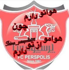 جون فدای پرسپولیسیم#