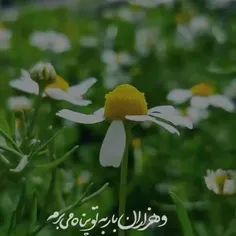 خدا💖