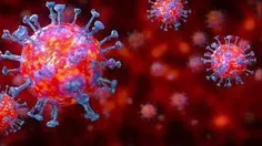 🔻احتمال انتقال کروناویروس حتی پس از بهبود علائم
