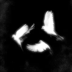 آسمون سنگی شده، خدا انگار خوابیده 