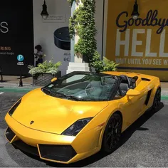 Lamborghini-Gallardo