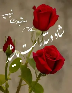 عکس نوشته abegol 34761109