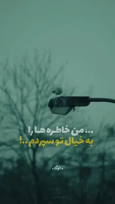 من ثانیه ها را ب هــــــواے تو شمردم.