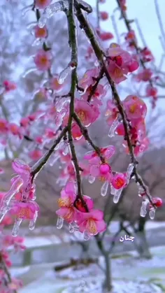 🌨السلام علیک