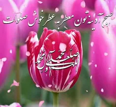 🌷سلام