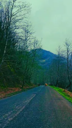 مسیر زیبای بلوردکان