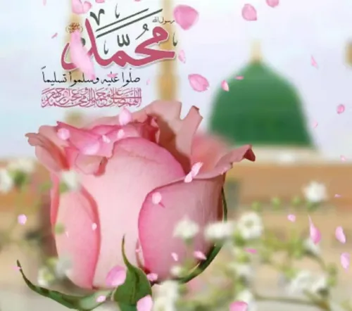 💖🍃ای آب حیات،یا محمد"ص"