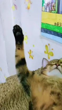 سلام صبح شنبه خواب‌آلودگان بخیر 🥰 