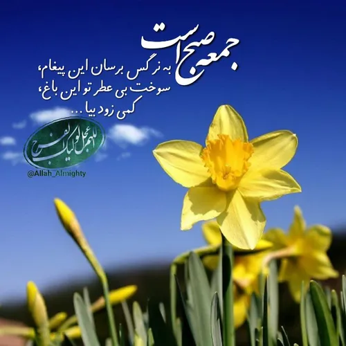 امام زمان