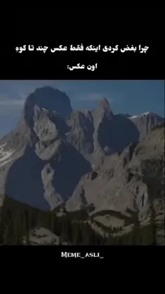 raycoro_sogamy_1 75995219