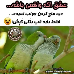 بفرست براش!😂 ❤ ️