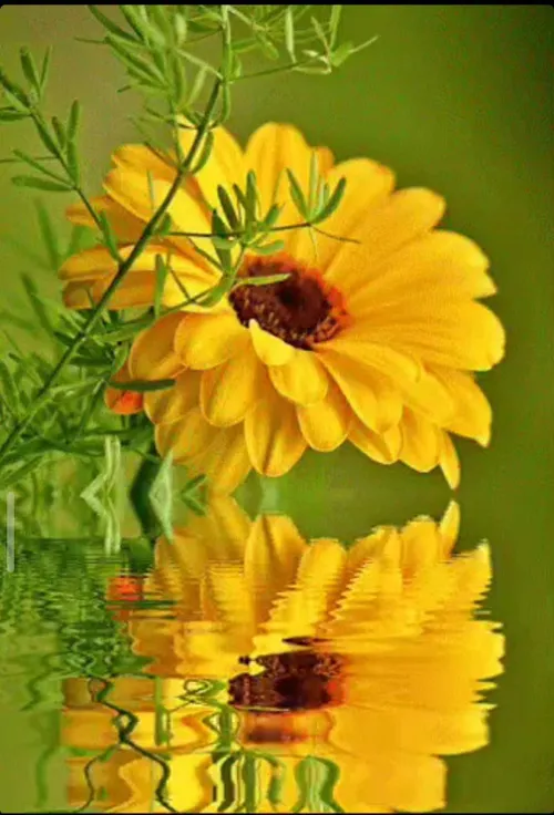 🌼🍃هستی تو را اینگونه