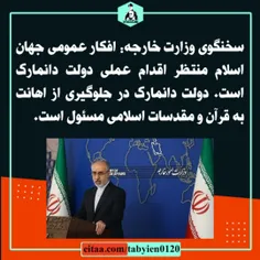 🔻سخنگوی وزارت خارجه: افکار عمومی جهان اسلام منتظر اقدام ع