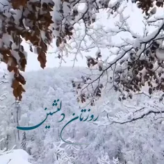 ❄️دانه های زمستان را سر انداختم ...