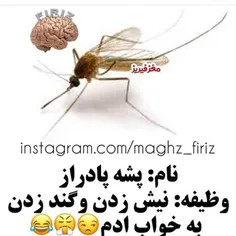 مشکل همه