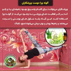 🎋آلوئه ورا دوست ورزشکاران
