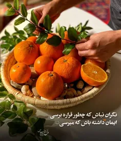 cilip_shad 72738685