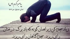 👈مرحوم شیخ رجبعلی خیاط(ره) می‌فرمود: