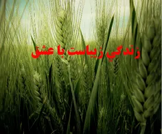 عکس نوشته