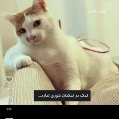 نمک در نمک دان شوری ندارد بتمن با کسی شوخی ندارد 😂😁