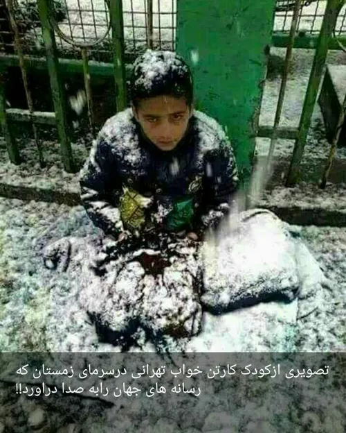 سلامت را نمی خواهند پاسخ گفت