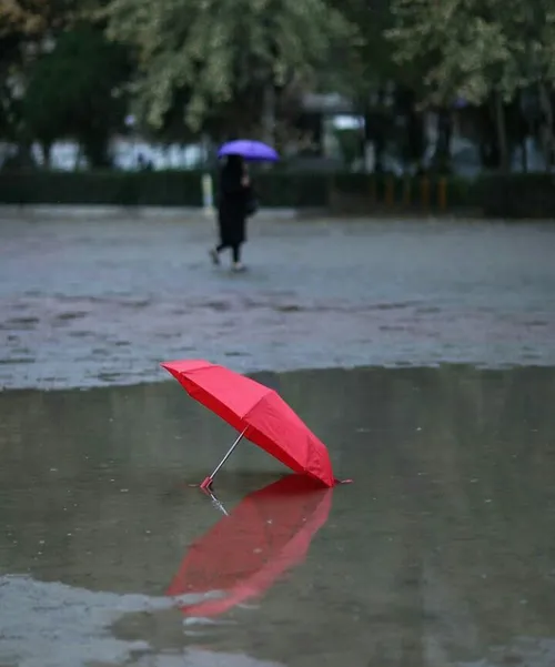 این زمستان