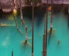 #جنگل زیر آب نماد عجیب ترین دریاچه دنیاست که در قزاقستان 