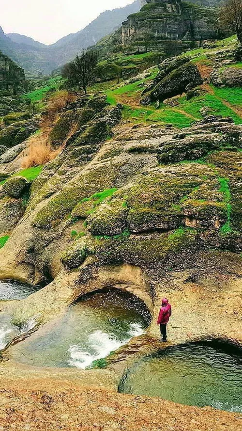 ایران را باید دید