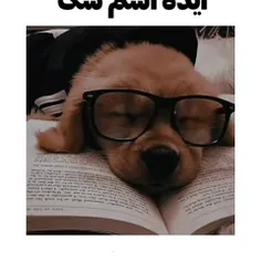 ایده اسم سگ 🐶