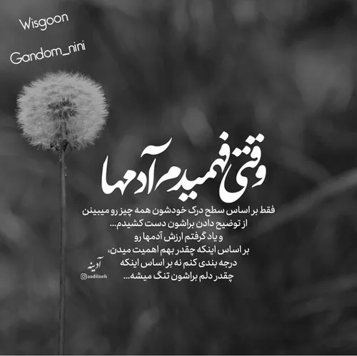 من ياد گرفتم که به جای ناراحت بودن،