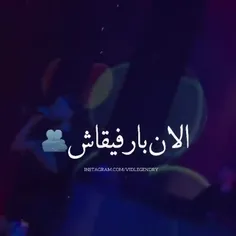 قلبمو دادم نیستش قابلش:)🧸🤍