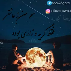 شعر : رضا تقی نژاد "شاوگرد"