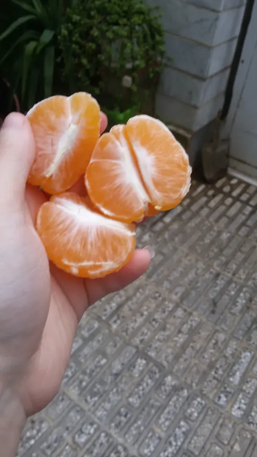 توهوای سردپاییزی نارنگی میچسبه😉دوستان بفرمایید