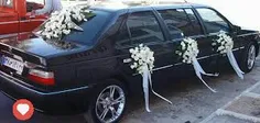 عروسی هر کسی باشه خوشبخت میشن چون ماشینشون ELX