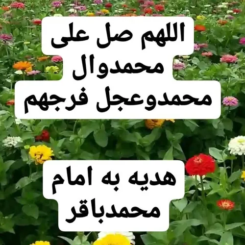 تعداد شاخه گل صلوات...