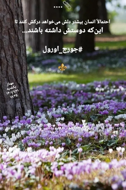 عکس نوشته