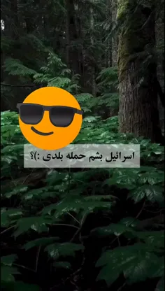 شانس ما گنبد آهنی داره!!