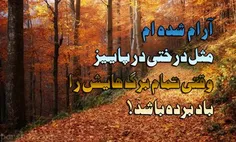 شعر و ادبیات babak04 31250596