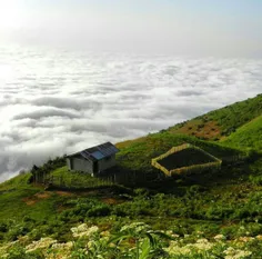 کلبه ای رویایی در جنگل ابر شاهرود به کارت پستال بیشتر شبی