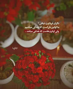 به خدا اعتماد کن در زمانی که 