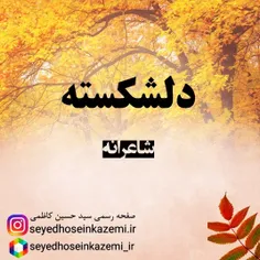 @seyedhoseinkazemi.ir