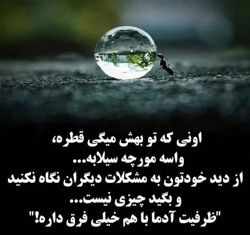  zoha_6988 48428371 - عکس ویسگون