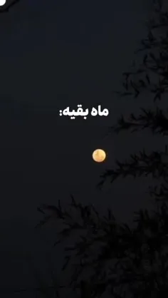 ماه من قمر منیر بنی هاشم عباس ( ع)