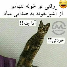 واقعا همینجوره😂🤦🏼‍♀️